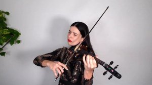 My Heart Will Go On (Love Theme from "Titanic") | Electric Violin Cover - Barbara Krajewska