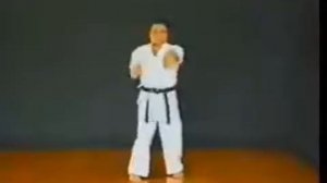 Ходзё ундо в исполнении Сенага Ёшидзюна /13 HojoUndou Uechi ryu KENSEIKAI Senaga Yoshidzune