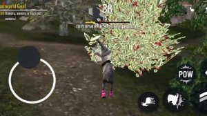 как получить козу торнадо