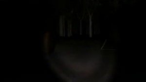 SLENDER MAN - Pley Flash