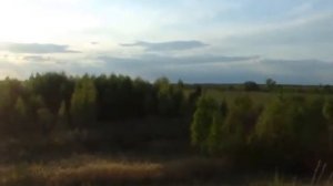 Лысково. Соловьи