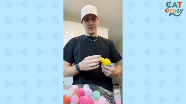 Meet The World's #1 Cat Dad | The Dodo смотреть онлайн