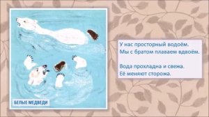 Иллюстраторы природы. Евгений Чарушин