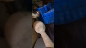 Как поменять магистральный фильтр для воды. Подписывайтесь на канал.