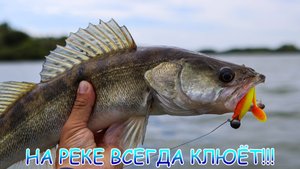 Сменил место и СРАЗУ поймал судака! Где лучше ЛОВИТСЯ? Джиг с лодки!