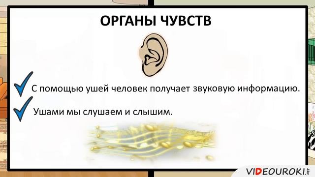 Видеоурок по информатике "Способы получения информации"