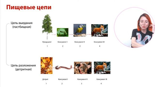 Разбор открытого варианта ФИПИ 2023 | ЕГЭ-2024 по биологии смотреть онлайн