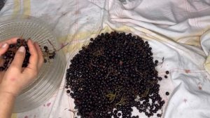 Боярышник На Зиму - Полезный Чай! Qara Yemişan Qurusu! Alıç Kurusu! Dried Hawthorn Berries!