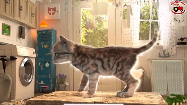 ADVENTURE OF A LITTLE KITTEN Cartoon About Kittens Cartoon For Kids And Toddlers Cartoons On #MM