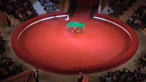 Московский цирк Никулина на Цветном бульваре (отделение 2)