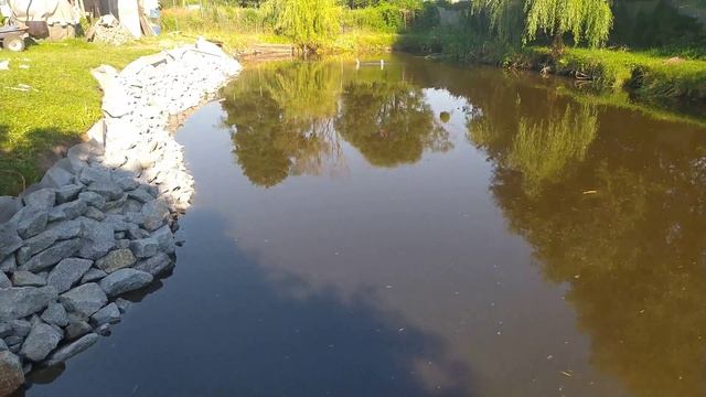 Пруд на своем участке, укрепление берега смотреть онлайн