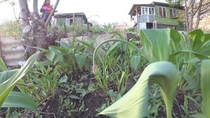 НА ДАЧЕ УЖЕ КАК ДОМА ) УРА ! ТЕПЕРЬ НА ДАЧЕ ЕСТЬ СВЕТ ! ВОССТАНОВЛЕНИЕ ЗАБРОШЕННОЙ ДАЧИ ! СТОЛЫЧ