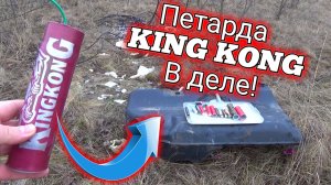 БЕНЗОБАК+МОЩНАЯ ПЕТАРДА KING KONG,топ мощных петард в бензобаке,моя пиротехника