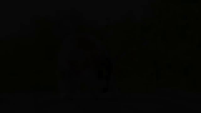 Cute Baby Animals - Exploring The Cuteness Of Baby Animals With Relaxing Music (Colorfully Dynamic) смотреть онлайн