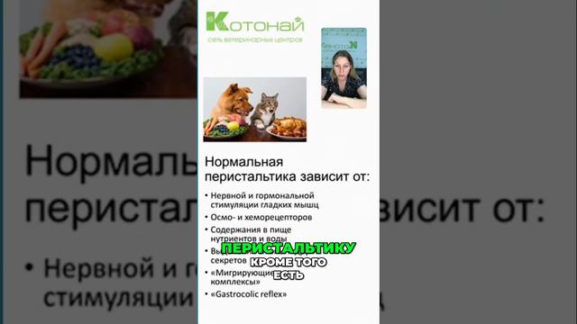 Влияние питания на перистальтику | Как питание влияет на реакцию перистальтики в желудке