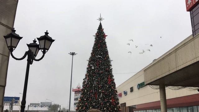Открытие мега центра Красная площадь, каждое воскресение в 10:00 #краснаяплощадь