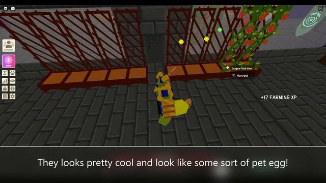 New Roblox Islands update! Dragon Fruits! смотреть онлайн