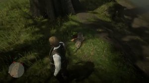 Красная цапля в Red Dead Redemption 2 где искать