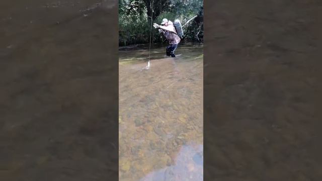 ОХОТА НА ЛЕНКА/ХАБАРОВСКИЙ КРАЙ