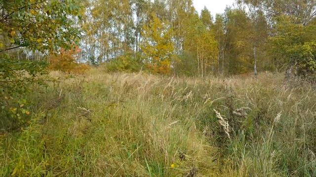 ГСВГ, территория в/ч11620, Luckenwalde,19.10.2021