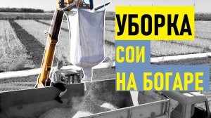 Богарные участки - все. Убрали ранние сорта сои на Агрополигоне