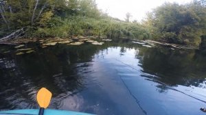 Ставим перемёт на СОМА. Подготовка (часть 1)