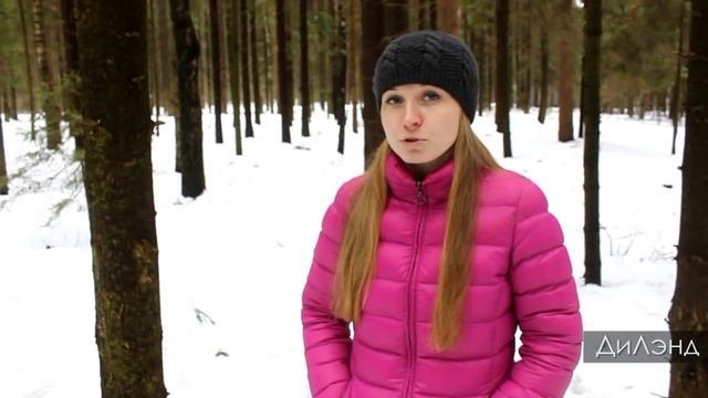 Выбор ландшафтного дизайнера