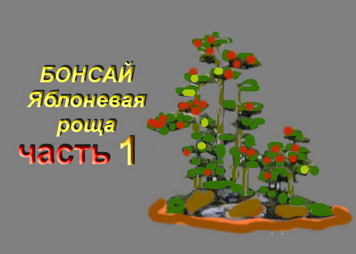 1.Бонсай  Лес из яблонь часть 1 Bonsai Grove from apple trees