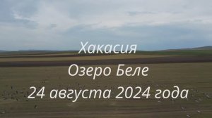журавли 2024_ютуб_1080