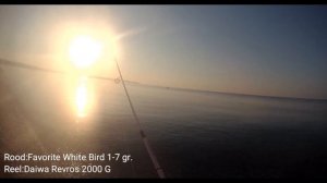 Light Rock Fishing/Ultra Light 31.08.2017/ Lambuka&Baracuda Avı