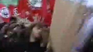 НБП-Марш несогласных