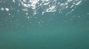 Выходные под Приозерском. Подводная охота. Ленинградская область.