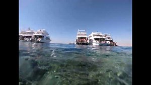 4K Sharm El Sheikh DIVING