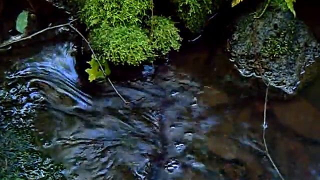 лесной ручеек 2 смотреть онлайн