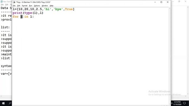 Python list type