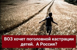 ВОЗ хочет поголовной кастрации детей. А Россия?