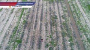 Нижегородский прованс образовался неподалеку от деревни Зубаниха