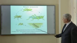 Биология развития насекомых. Метаморфоз.