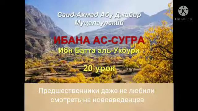 20 Предшественники даже не любили смотреть на нововведенцев смотреть онлайн