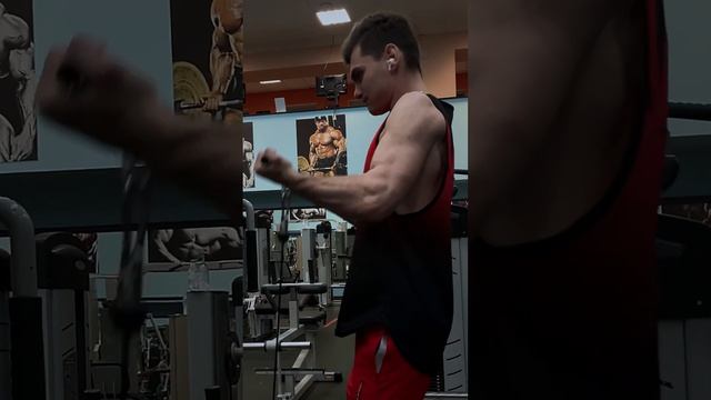 Тренировка рук / biceps day /arm training