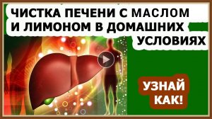 ЧИСТКА ПЕЧЕНИ В ДОМАШНИХ УСЛОВИЯХ.mp4