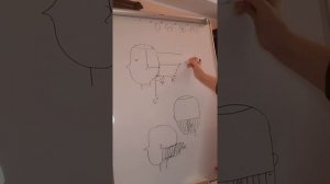 Углы оттяжки и углы срезов в стрижке