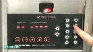 Готовим картофель фри в фритюрнице  EF-8L-C10.