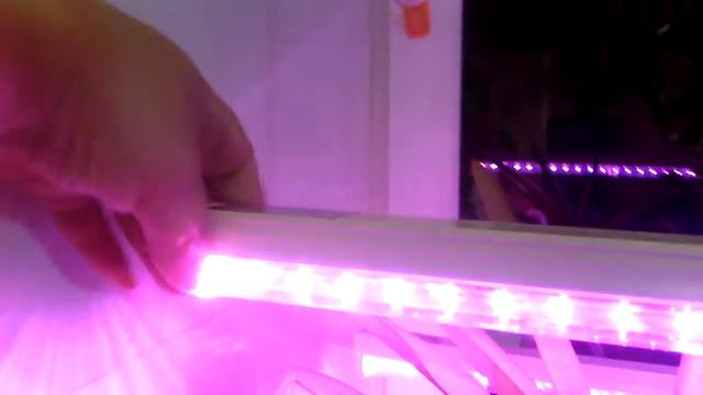 Орхидеи. Подсветка для моих орхидеек. смотреть онлайн