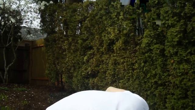 Power Block GF SPDBLK24 Adjustable SpeedBlock Dumbbells Inhouse Review смотреть онлайн