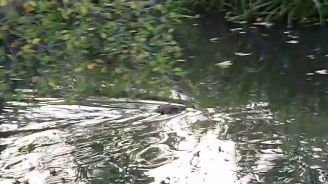 Еще чуть подальше! смотреть онлайн