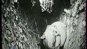 Российский курьер (Культура, 2000) Оренбургская  область