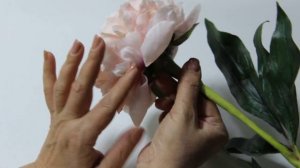 Пион моей мечты ,,Шифон Парфе,, Мастер Чулпан Хисмеева