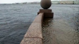 Санкт-Петербург, гордая белая птица