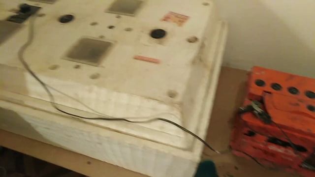 ИНКУБАЦИЯ ПИЩЕВОГО ЯЙЦА ВТОРОЙ КАТЕГОРИИ в птичнике Вячеслава Синего